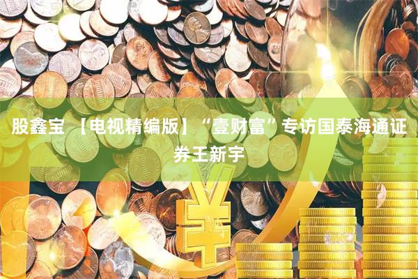 股鑫宝 【电视精编版】“壹财富”专访国泰海通证券王新宇